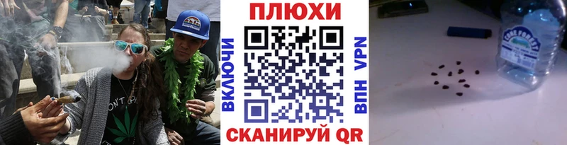 блэк спрут маркетплейс  сколько стоит  Павловск  дарк нет клад  ГАШ Изолятор 