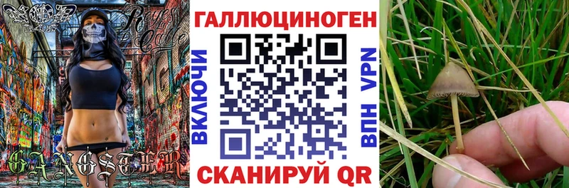 ссылка на мегу ONION  купить наркотики цена  Павловск  Галлюциногенные грибы Magic Shrooms 